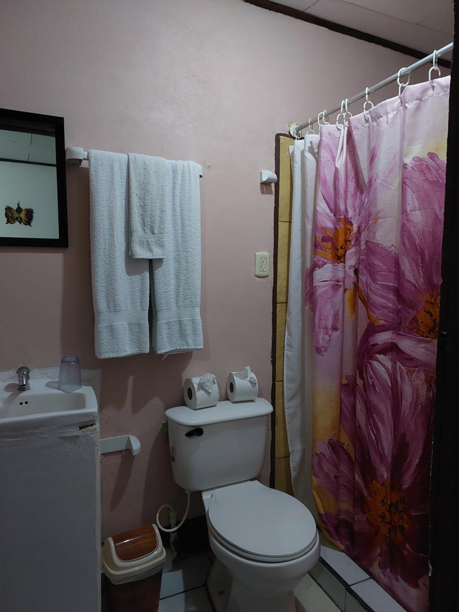 Chinitas Eco Lodge Tortuguero Extérieur photo