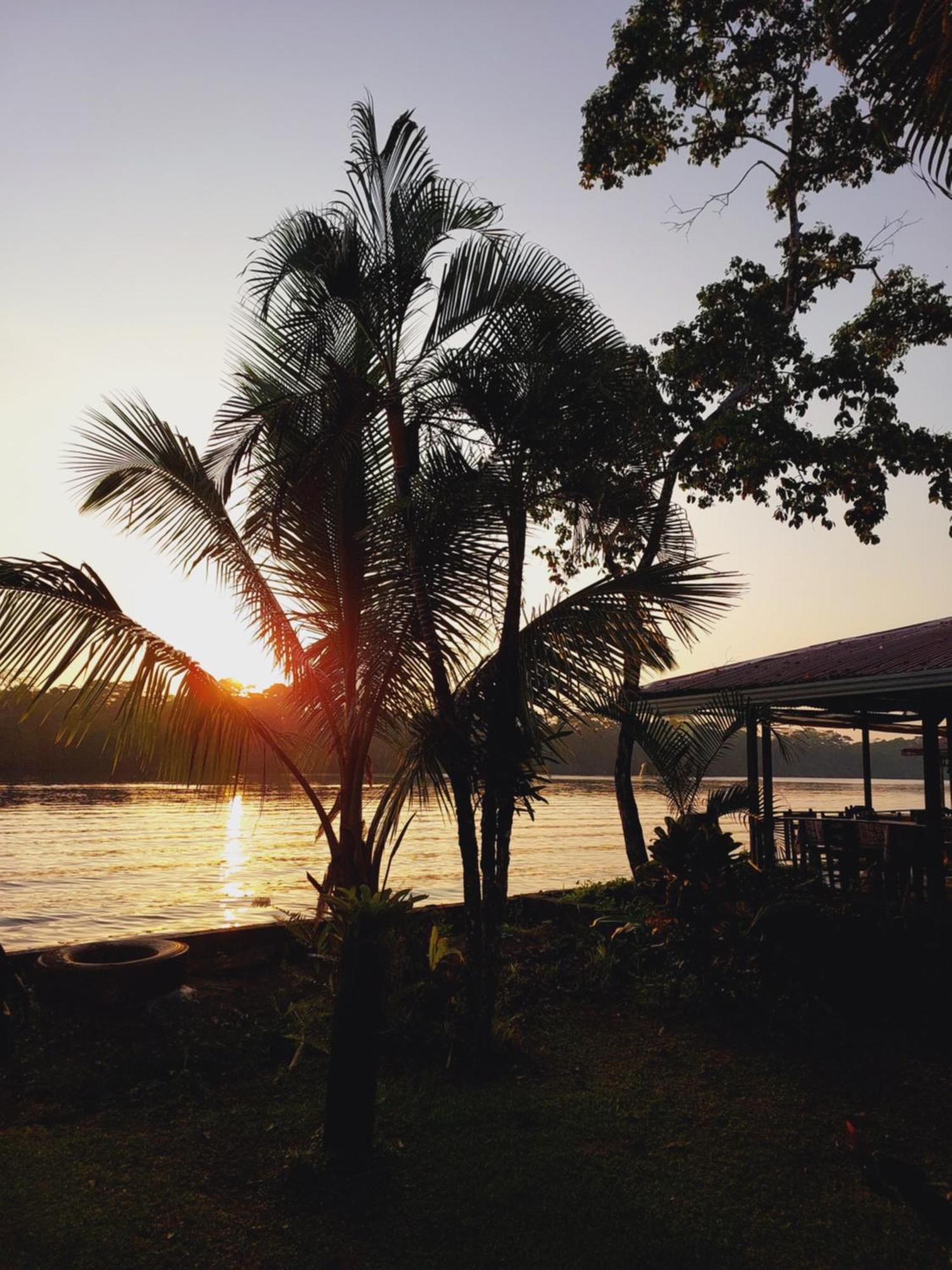Chinitas Eco Lodge Tortuguero Extérieur photo
